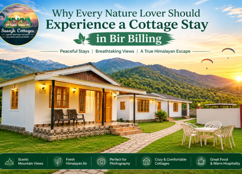 Why Every Nature Lover Should Experience a Cottage Stay in Bir Billing